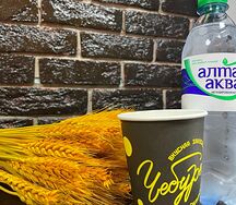 Вода природная питьевая артезианская Алтай Аква негазированная