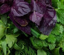 Ассорти из зелени