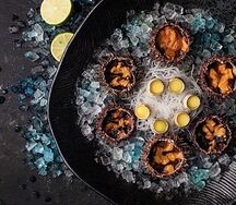 Живые морские ежи