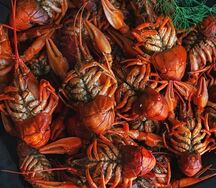 Раки отварные XL