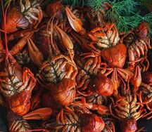 Раки отварные S