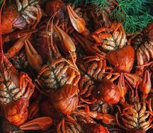 Раки отварные М