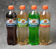 Байкал Черноголовка