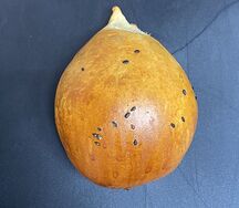 Самса тандырная баранина