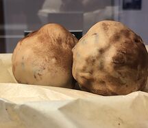 Пирожное Картошка