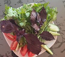 Салат Свежий