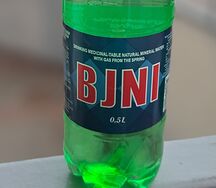 Бжни
