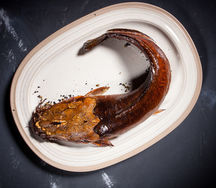 Фермерский сомик