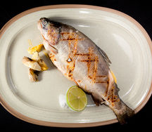 Карельская форель