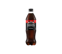 Evervess cola в бутылке 0,5л