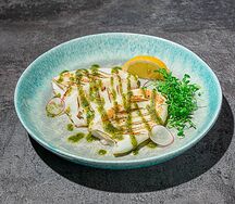 Кальмар камандорский