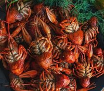 Раки отварные микс