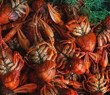 Раки отварные L