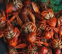 Раки отварные микс