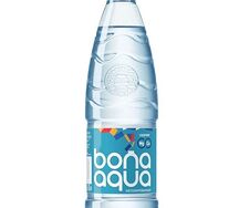 Bon Aqua негазированная