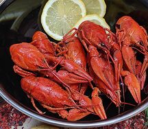 Раки вареные в ароматном бульоне средние (25-32 шт. в кг.)