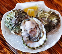 Устрица Хасанская второй категории