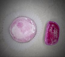 Моти Чёрная смородина