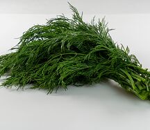 Укроп свежий
