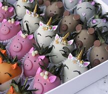 Набор Зоопарк