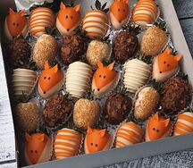 Набор Лисички