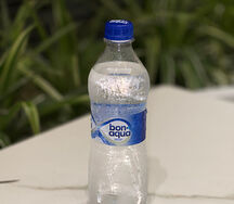 Bon Aqua с газом
