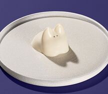 Флаффи котик молочный