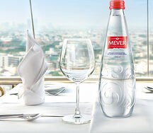 Вода без газа Мевер
