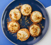 Сенди кальмар