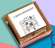 Котики с днем рождения