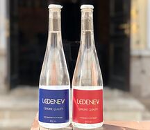 Вода Lednev Россия