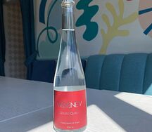 Ledenev газированная