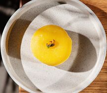 Моти Маракуйя с электрическим цветком