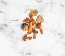 Ассорти из лесных грибов