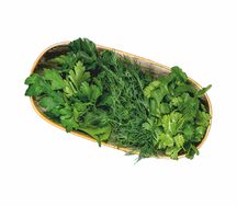 Зелень свежая