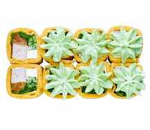 Тортилья с курицей