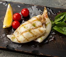 Кальмар командорский