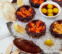 Морской ёж