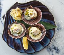 Морские гребешки в сливочном соусе