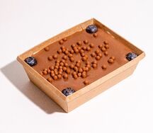 Трайфл Ван Лав