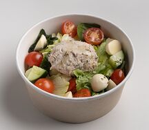 Овощной салат с моцареллой и риетом из тунца
