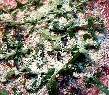 Карпаччо из говядины с трюфельным муссом