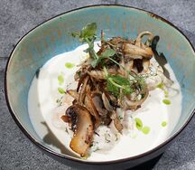 Медальоны из курицы с миксом из грибов в сливочном соусе