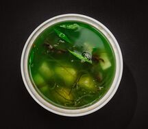 Мисо с морепродуктами