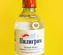 Минеральная питьевая вода Пилигрим газированная