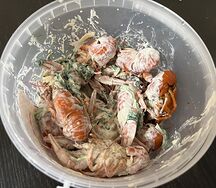 31. Раки средние в белом соусе по-тайски