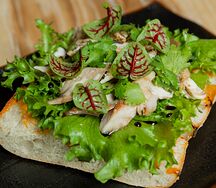 Брускетта с рваным цыпленком