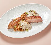 Утиная грудка с гречотто и грибным муссом