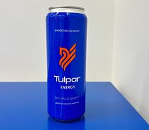 Энергетик Тулпар