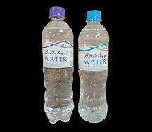 Вода Water Baikology с газом